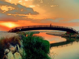 El Mareny, Gola del Rei, Foto de Arturo Part