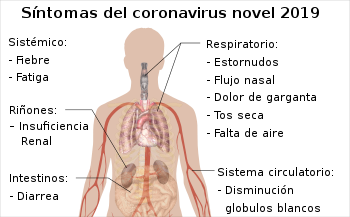 350px-Symptoms_of_2019_novel_coronavirus_spanish.svg-1.png