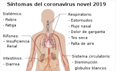 350px-Symptoms_of_2019_novel_coronavirus_spanish.svg-1.png